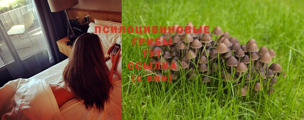 ГАЛЛЮЦИНОГЕННЫЕ ГРИБЫ Абинск