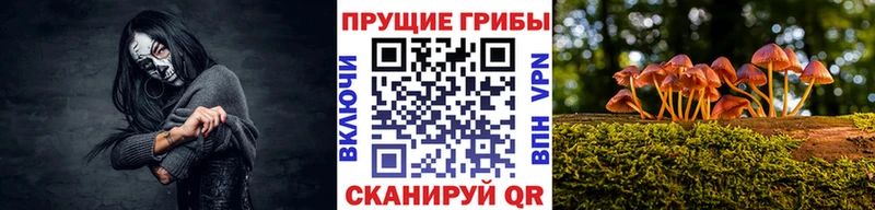 где купить   Астрахань  Галлюциногенные грибы Magic Shrooms 