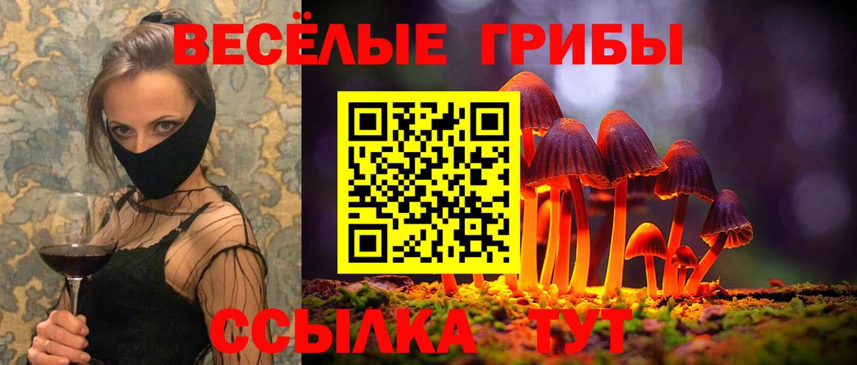 Галлюциногенные грибы прущие грибы Астрахань