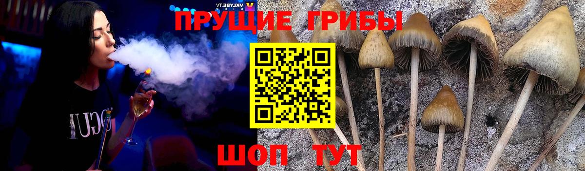 Псилоцибиновые грибы Psilocybine cubensis  Вход с VPN  сколько стоит  Астрахань 